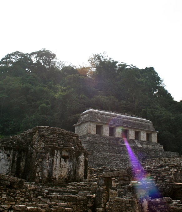 photo by tim fussing-4 Dog