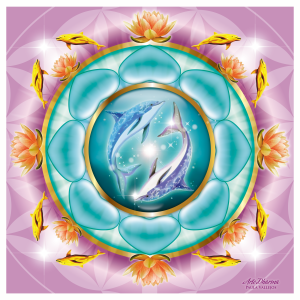 timo-chakra-and-dolphins