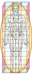 Baby-to-Human-in-Cube